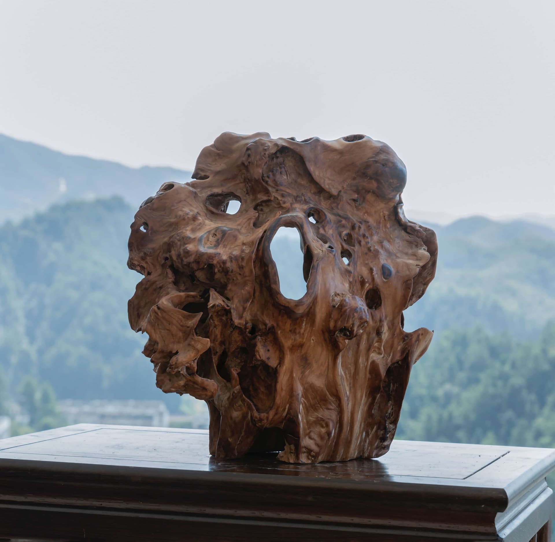 根读艺术作品洞见主图