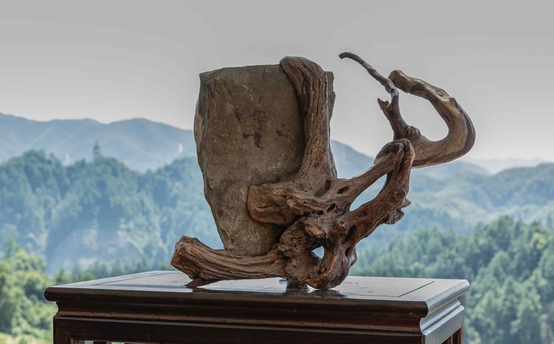 根读艺术作品刚柔主图