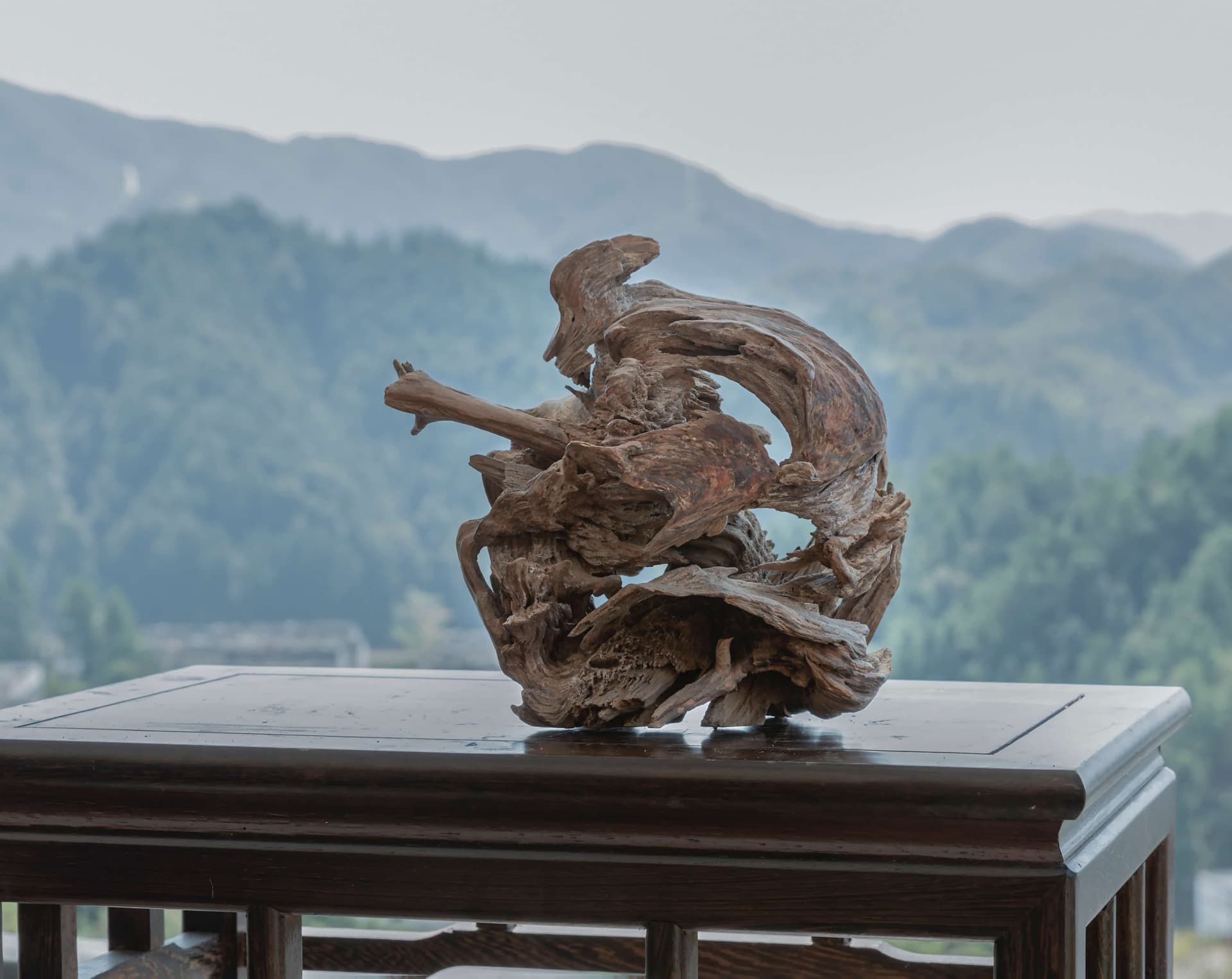 根读艺术作品林间惊涛主图