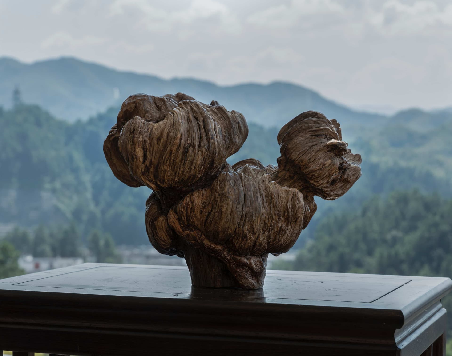 根读艺术作品卧云主图