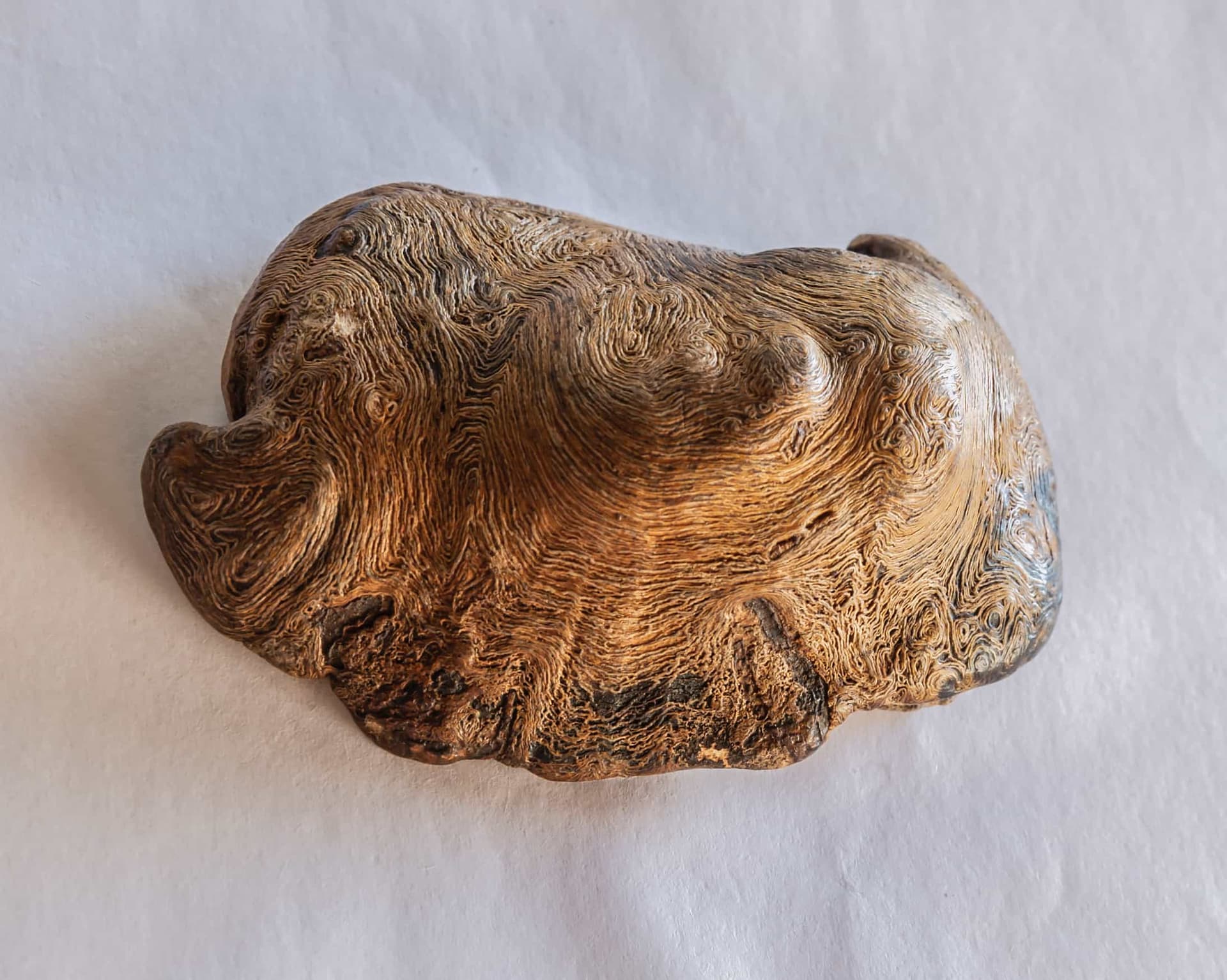 根读艺术作品门中回响主图