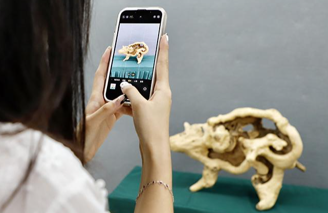 第三篇:【收藏保养】根雕买回家怎么养?这“三怕三喜”要记牢